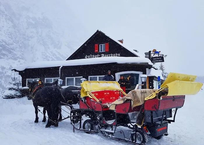 Auerhahn Guest house *